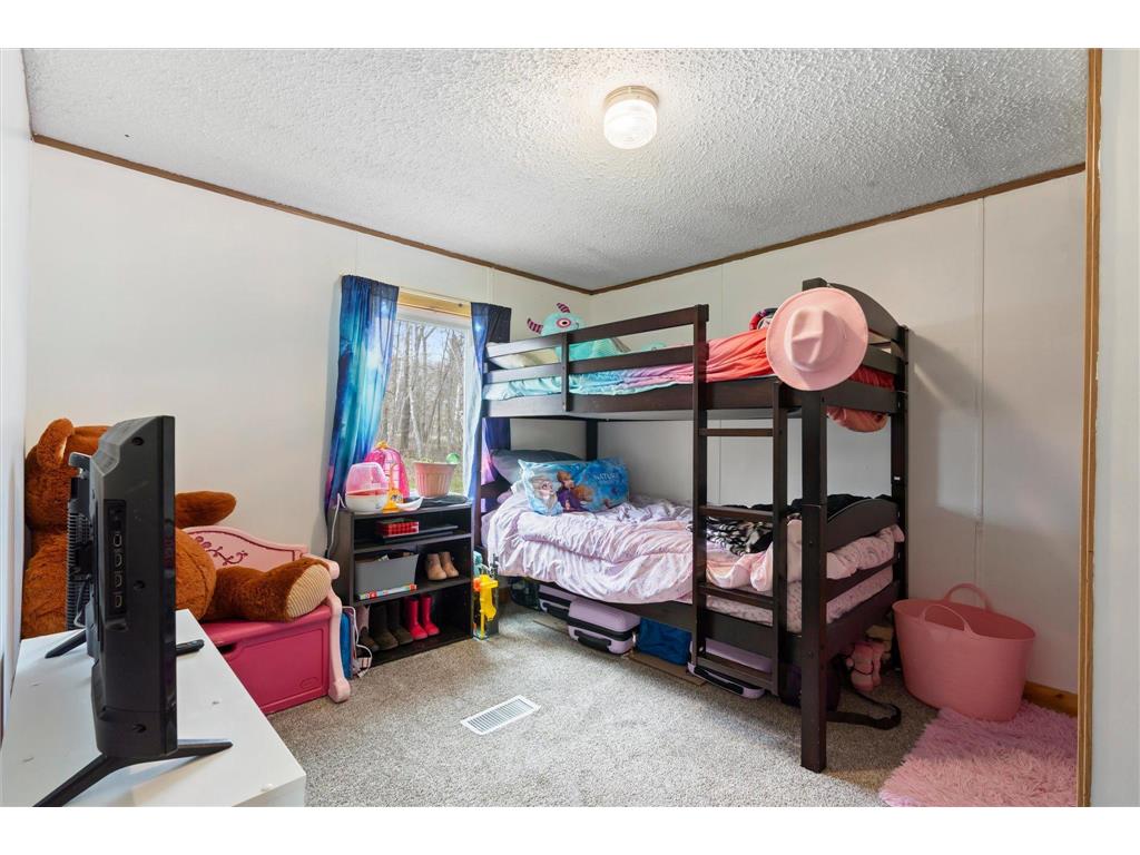 1685 Timber Lane Scandia Valley Twp MN 56443 - FISH TRAP 7067493 image14