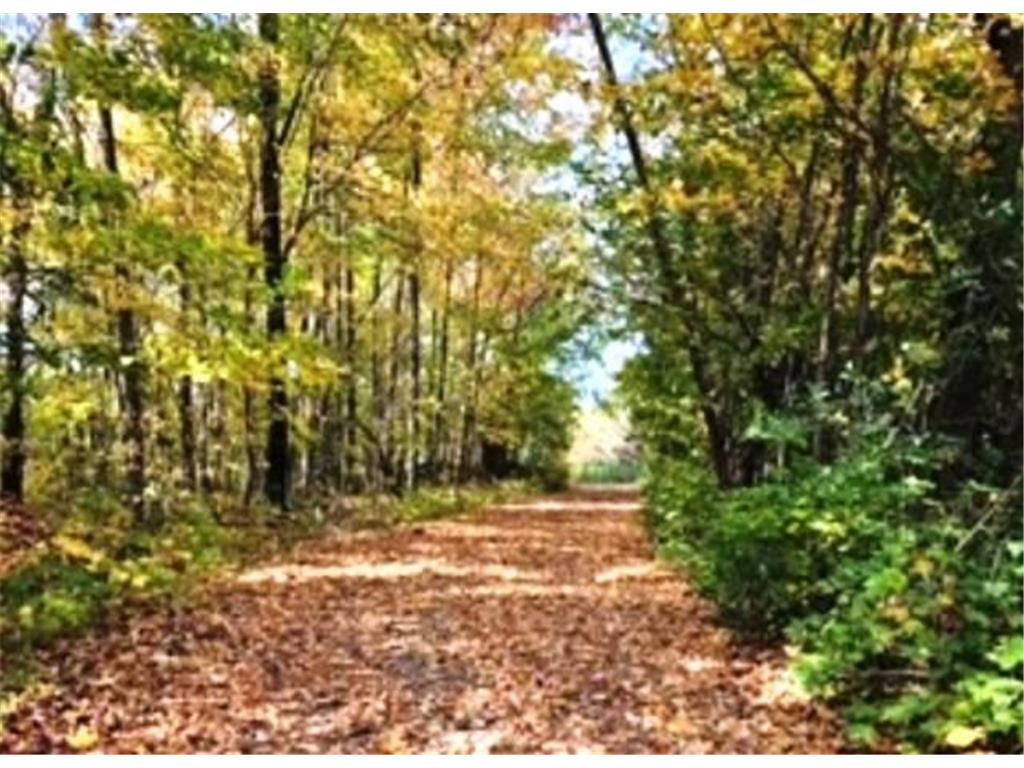 16861 W State Road 77 Lenroot Twp WI 54843 7068612 image65