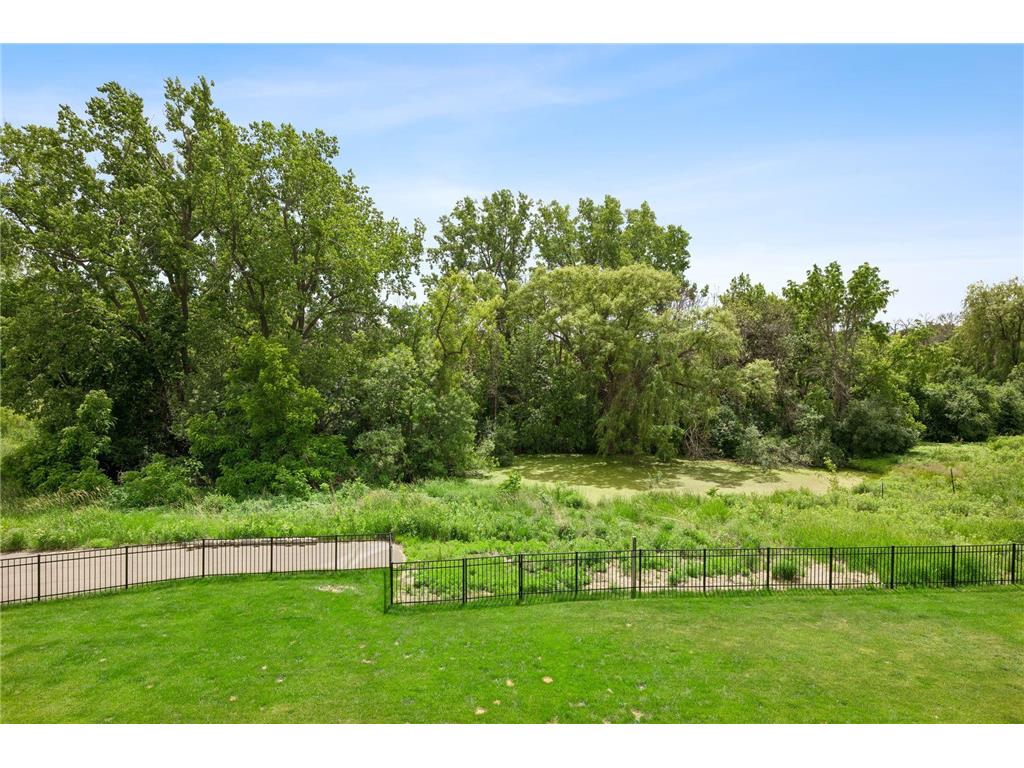 16865 46th Avenue N Plymouth MN 55446 7086311 image64