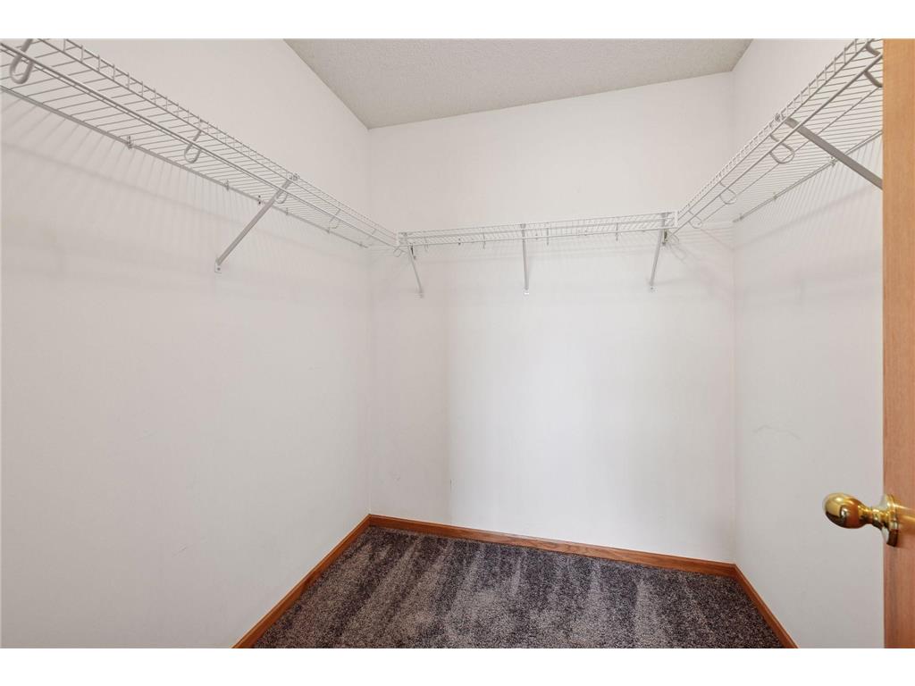 1687 Liberty Lane Waconia MN 55387 6820587 image25