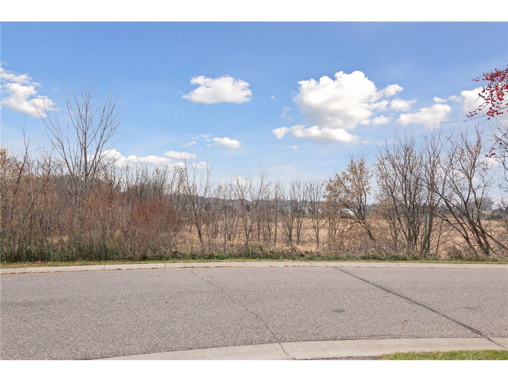 1687 Liberty Lane Waconia MN 55387 6820587 image32