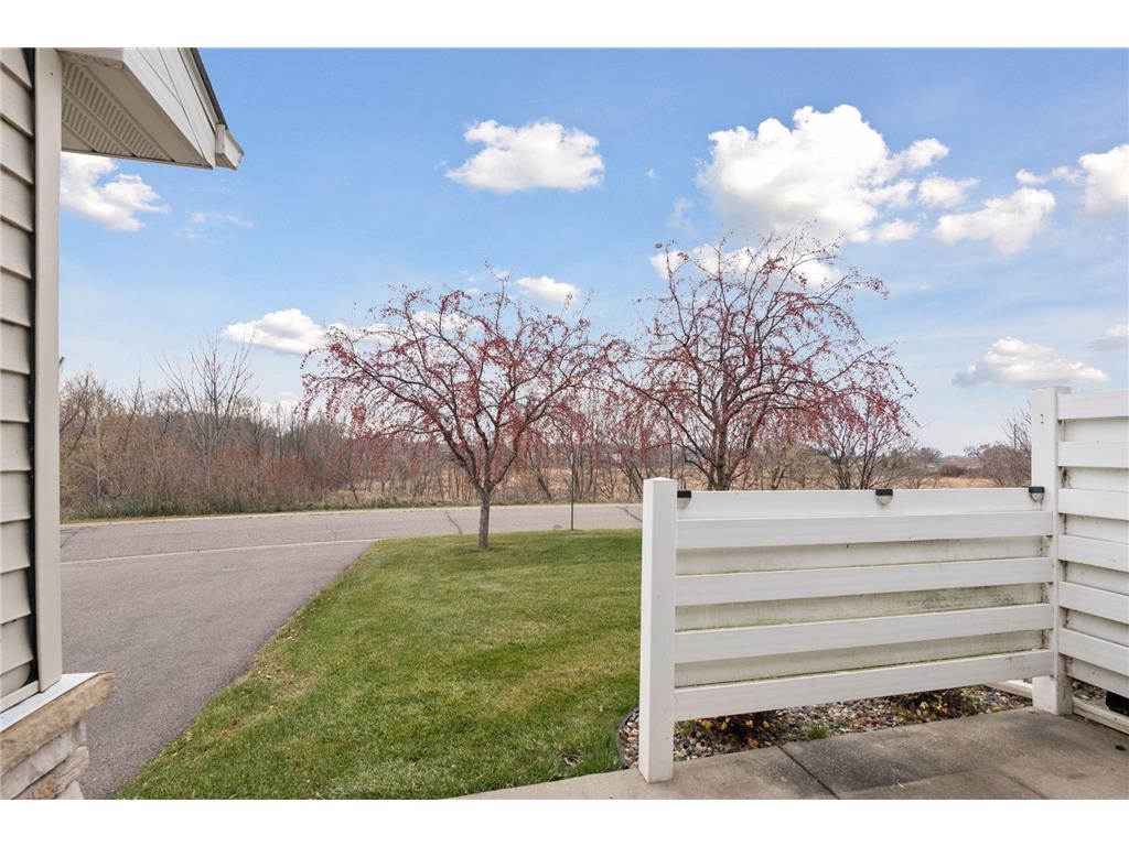 1687 Liberty Lane Waconia MN 55387 6820587 image4