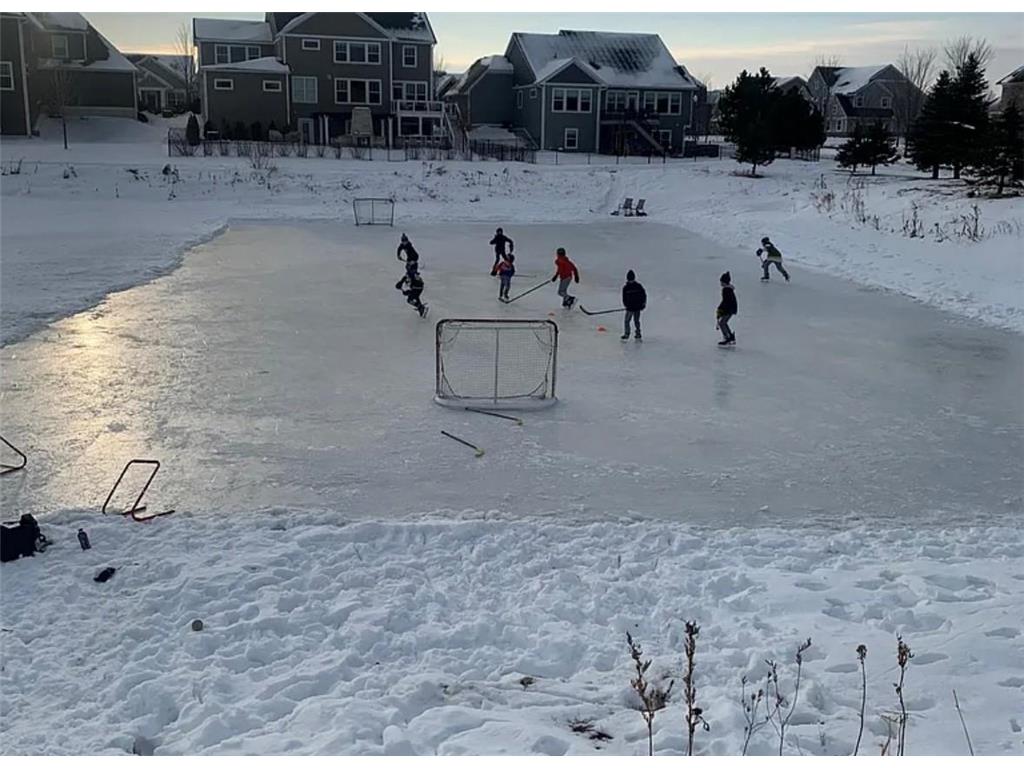 16872 Eagleview Drive Lakeville MN 55044 6821251 image64