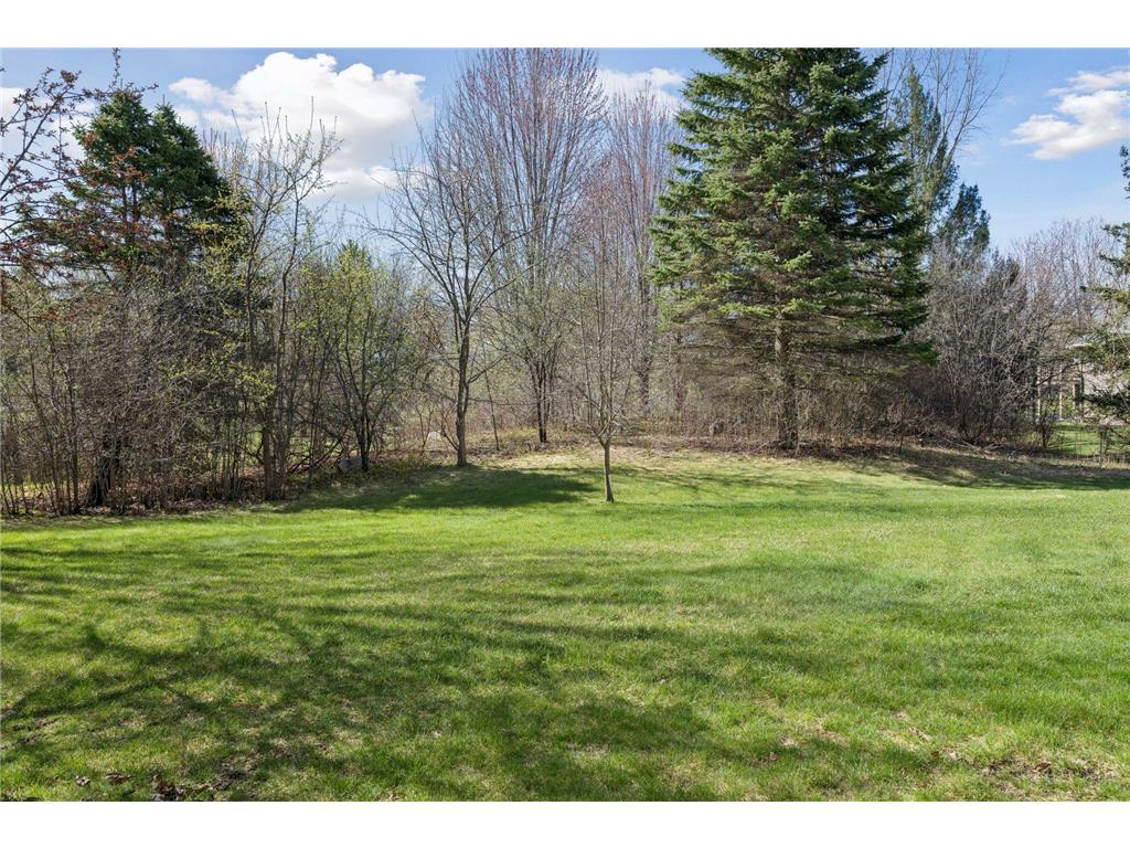1688 Wexford Way Woodbury MN 55125 7059988 image43