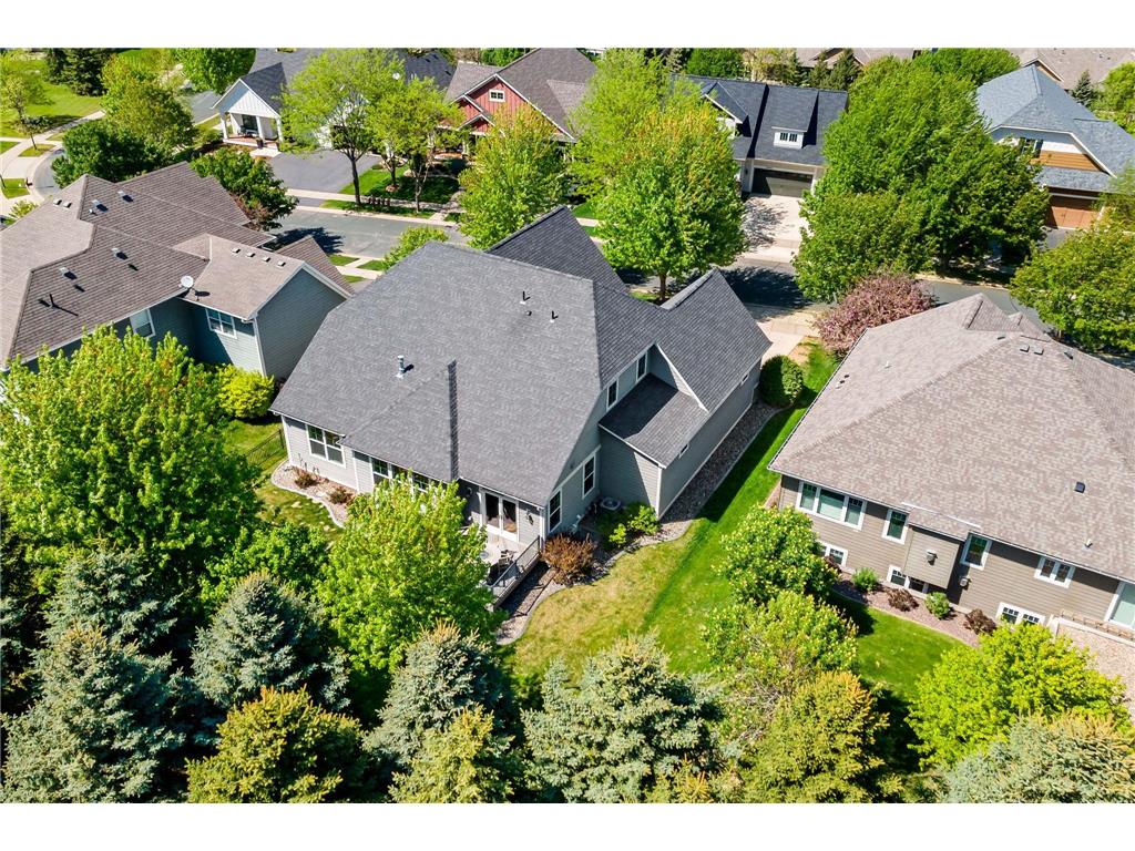16899 E Lake Drive Lakeville MN 55044 7022641 image68
