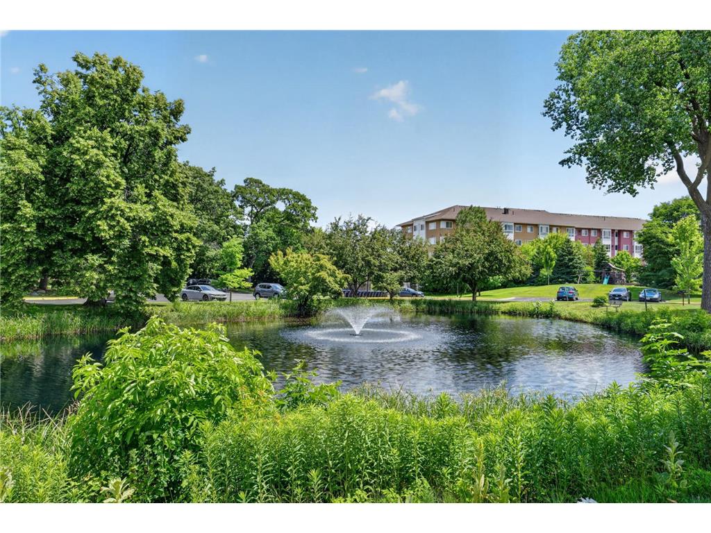 1690 Highway 36 W #320 Roseville MN 55113 7087597 image23