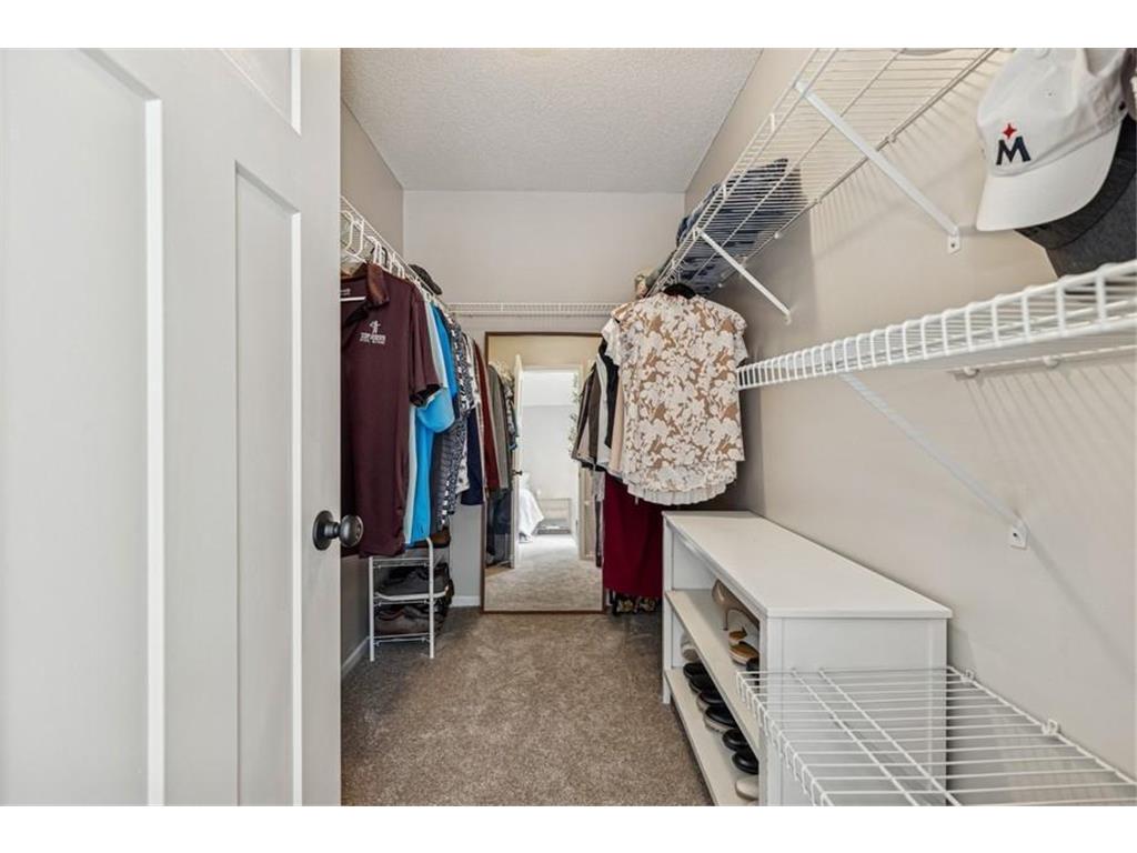 16902 Wilderness Trail SE Prior Lake MN 55372 6825498 image37