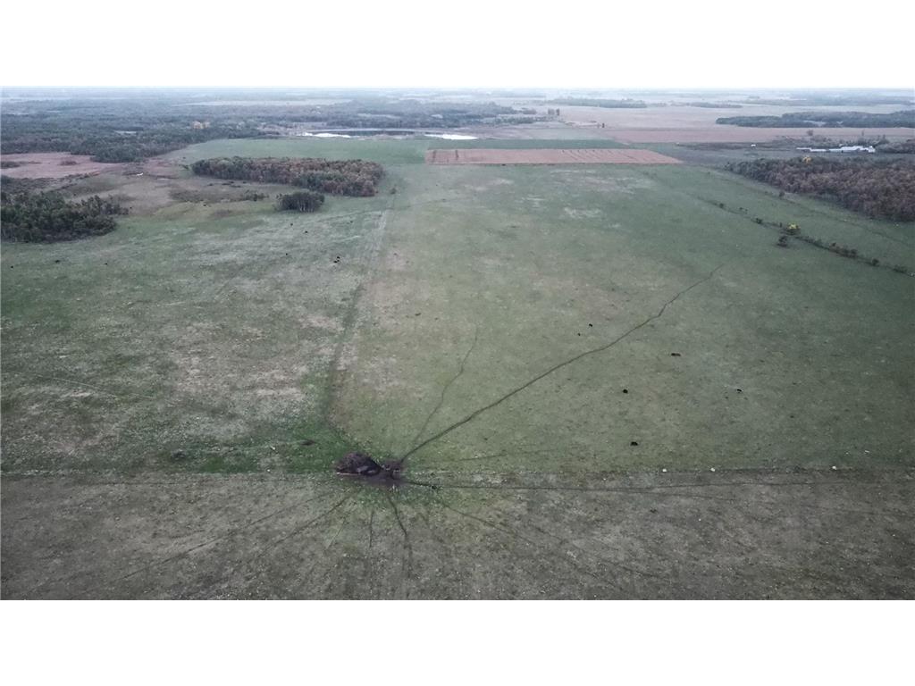 1691 400th Ave Halma MN 56729 6439749 image1