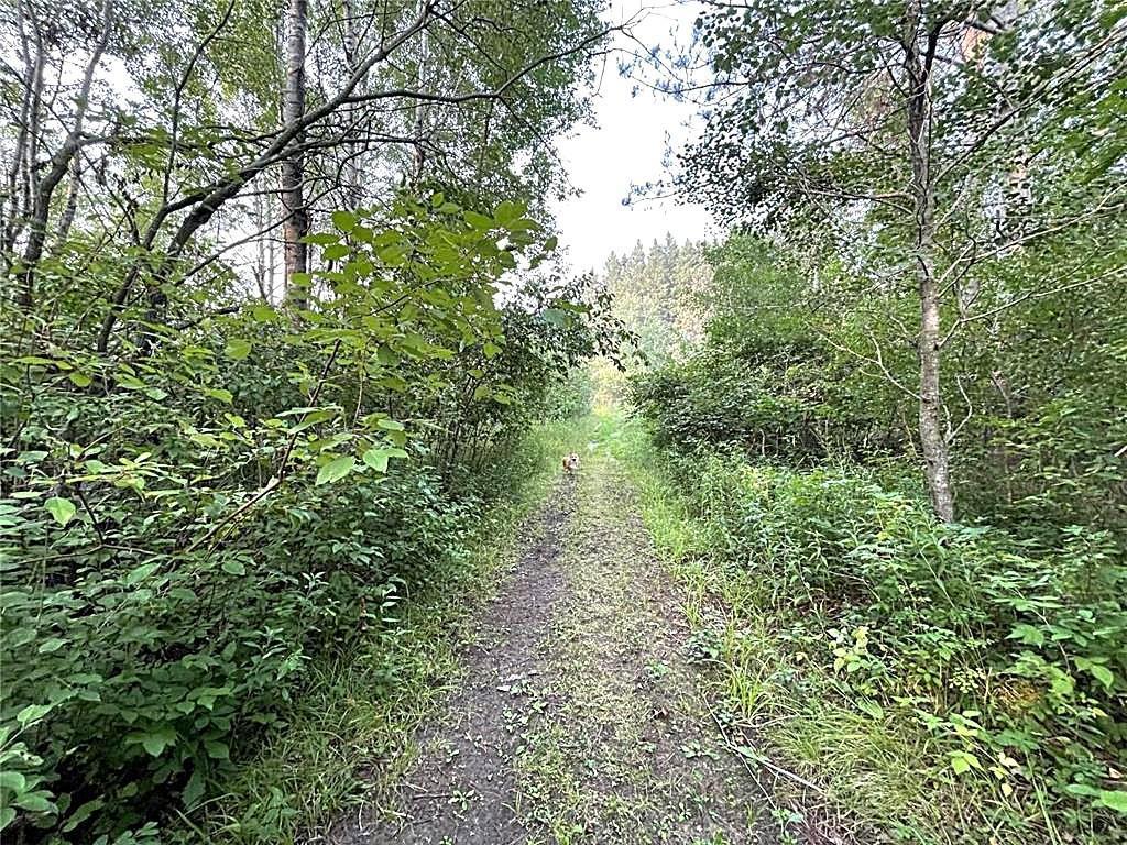 16913 220th Street Page Twp MN 56353 7053485 image9