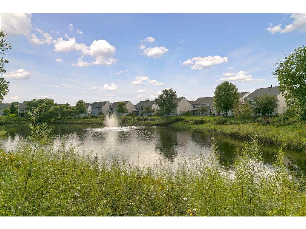 1692 Oakbrooke Way Eagan MN 55122 7077590 image41