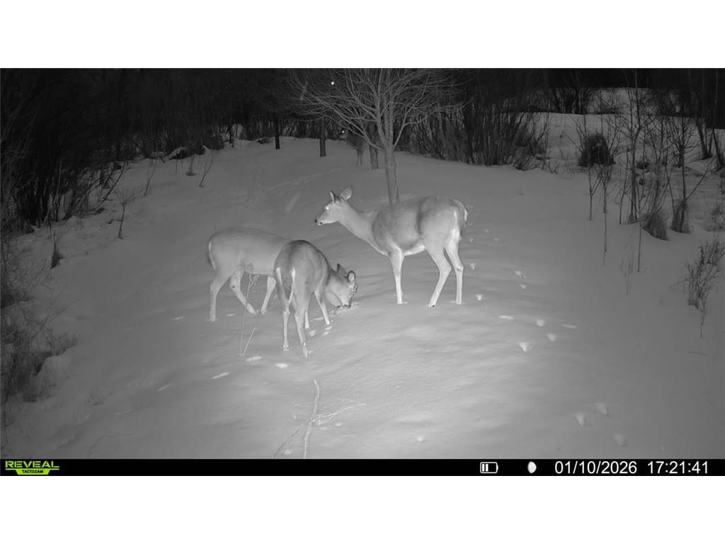 16921 Vickers Street NE Ham Lake MN 55304 7004704 image48