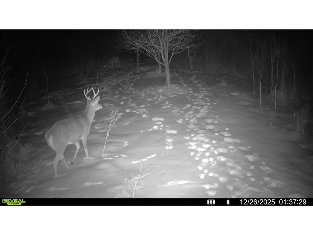 16921 Vickers Street NE Ham Lake MN 55304 7004704 image49