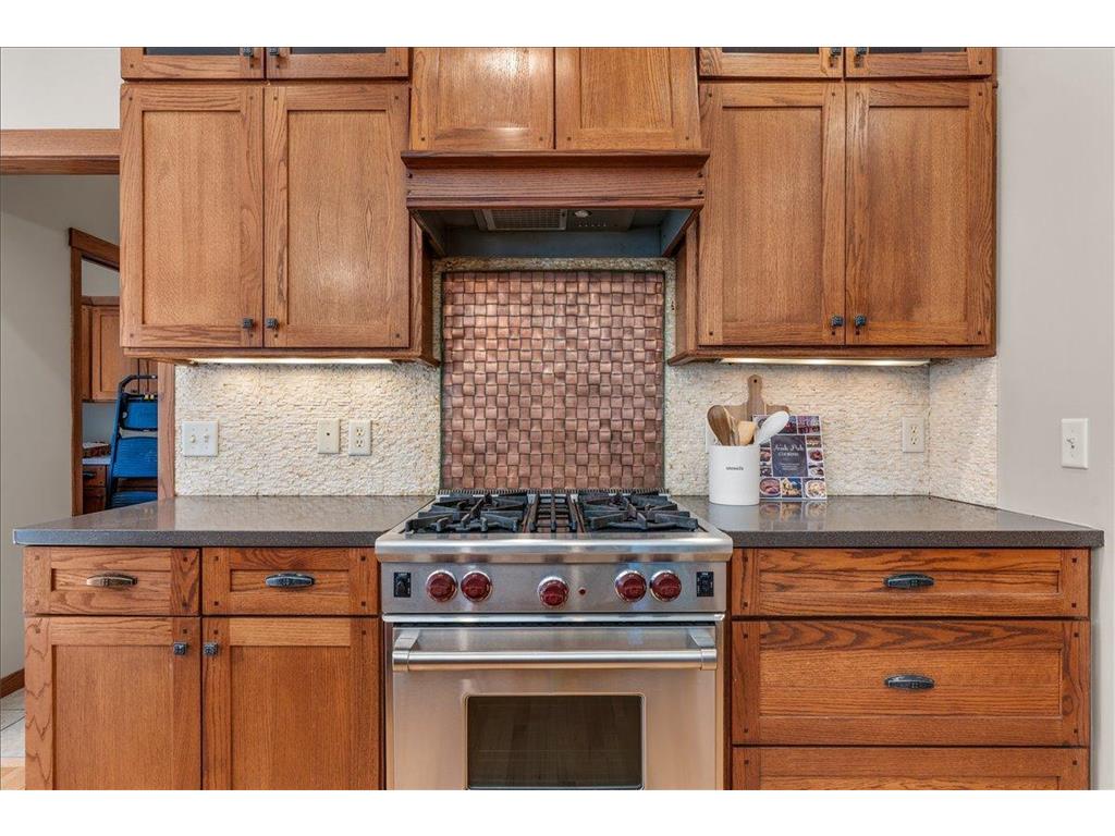 16931 E Lake Drive Lakeville MN 55044 7081344 image15