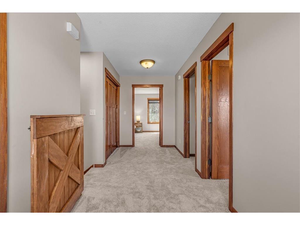 16931 E Lake Drive Lakeville MN 55044 7081344 image33