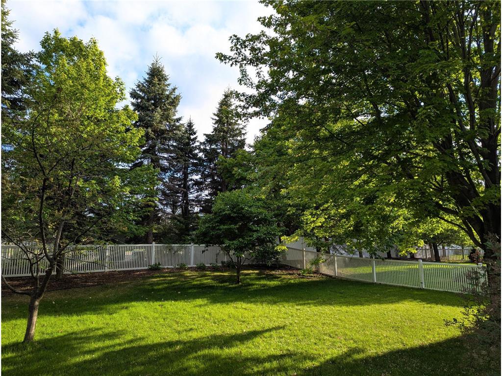 16931 E Lake Drive Lakeville MN 55044 7081344 image49