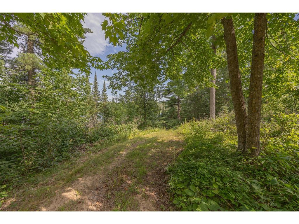 1694 Buckshot Trail NW Hackensack MN 56452 - Baby 7013337 image21