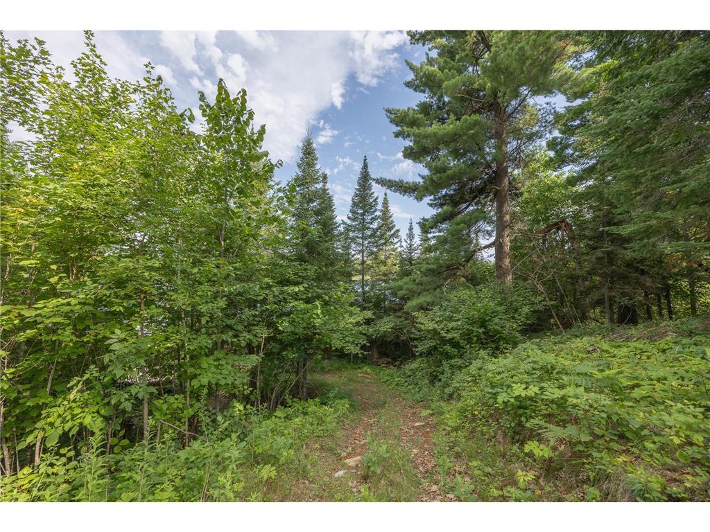 1694 Buckshot Trail NW Hackensack MN 56452 - Baby 7013337 image22