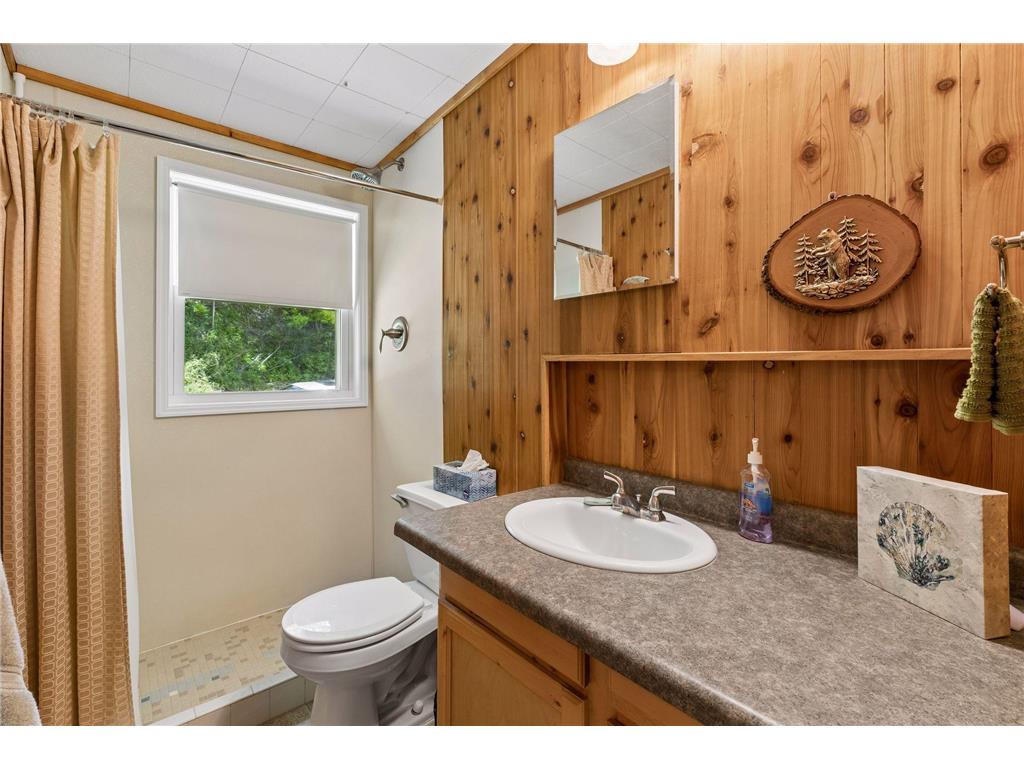 16940 Elmore Way Wells Twp MN 55021 - French 7077484 image14