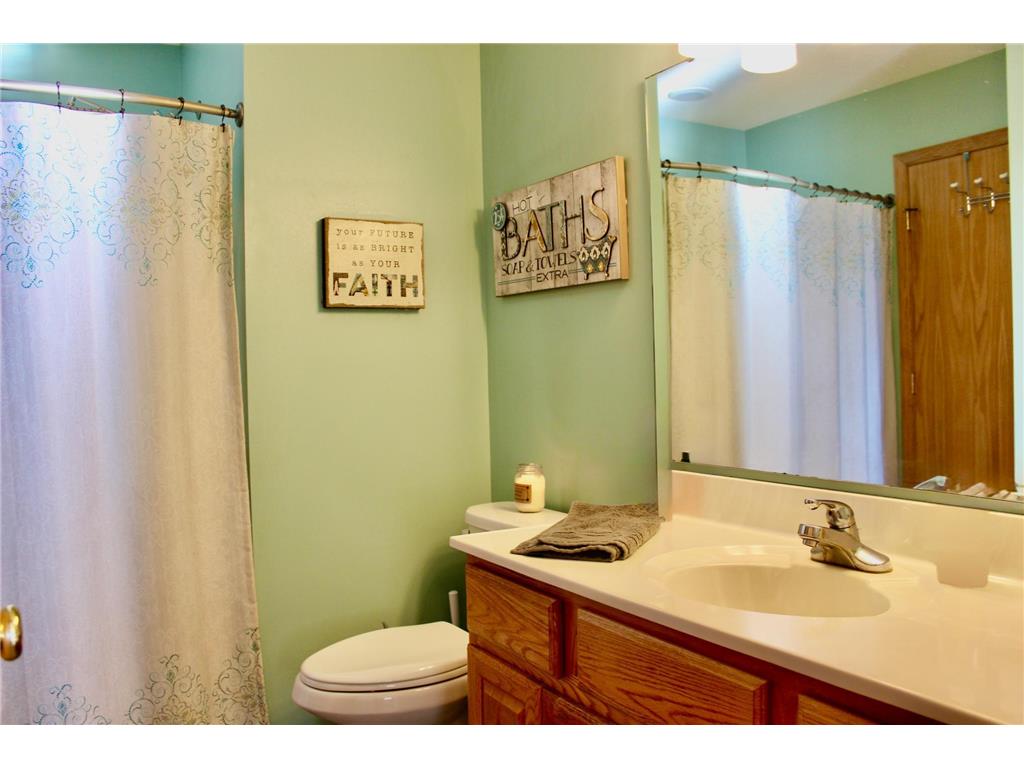 16953 739th Street Hayfield Twp MN 55940 6820656 image13