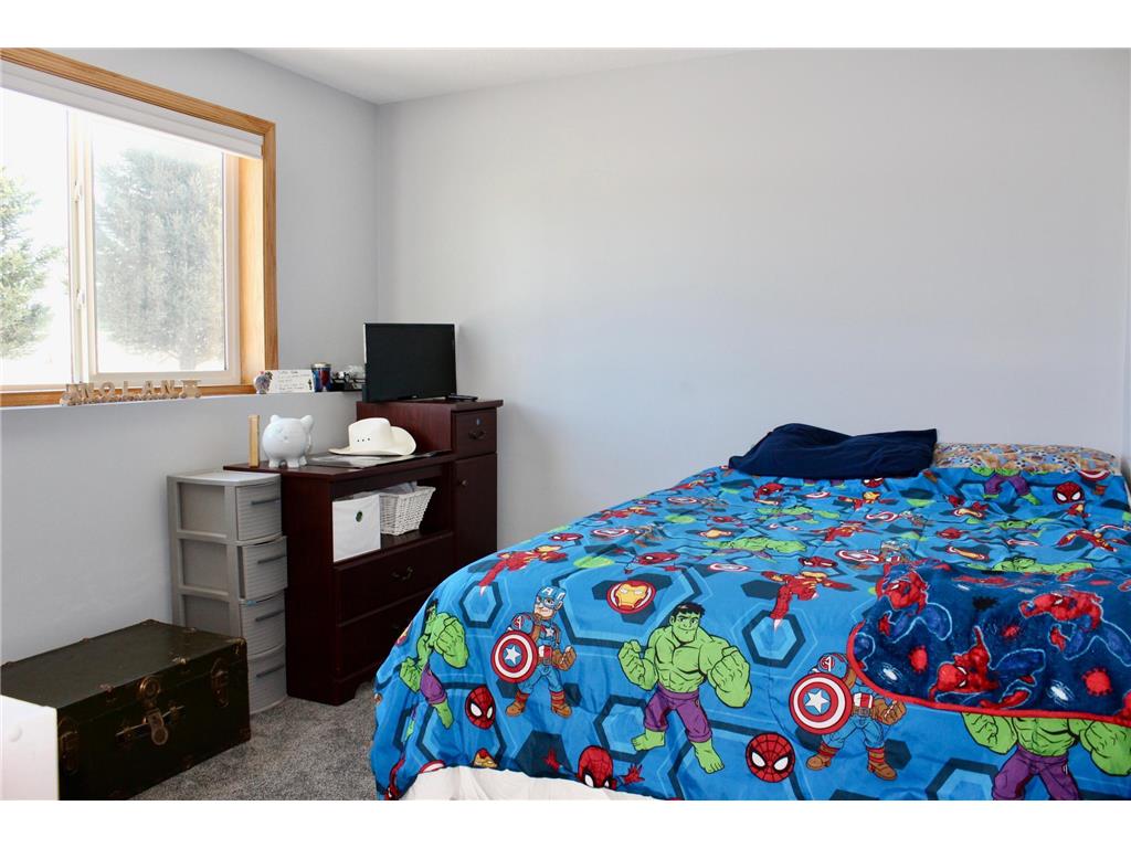 16953 739th Street Hayfield Twp MN 55940 6820656 image22