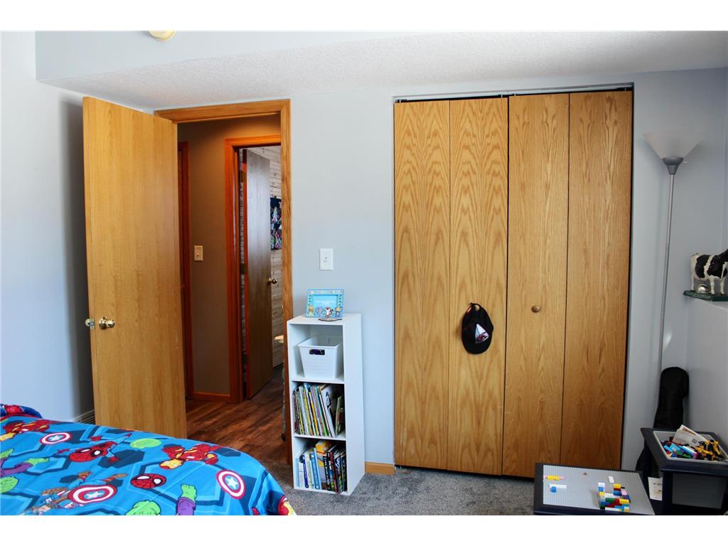 16953 739th Street Hayfield Twp MN 55940 6820656 image23