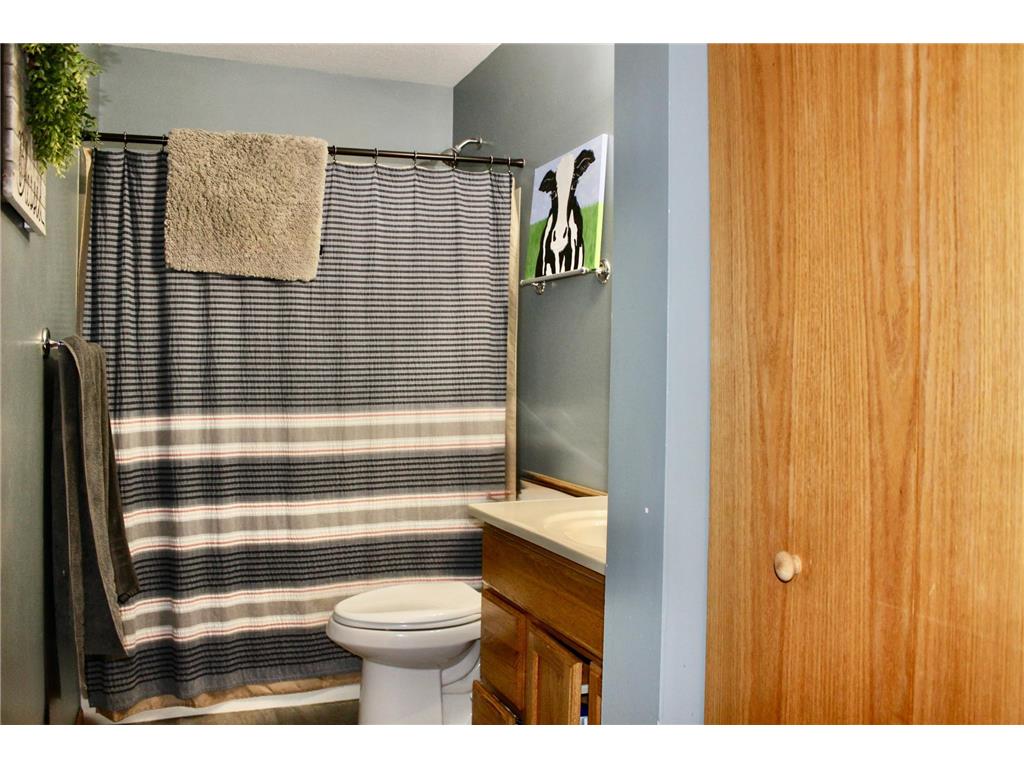 16953 739th Street Hayfield Twp MN 55940 6820656 image24