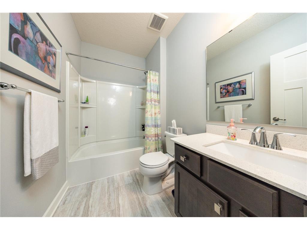 1696 73rd Street W Inver Grove Heights MN 55077 7103829 image19