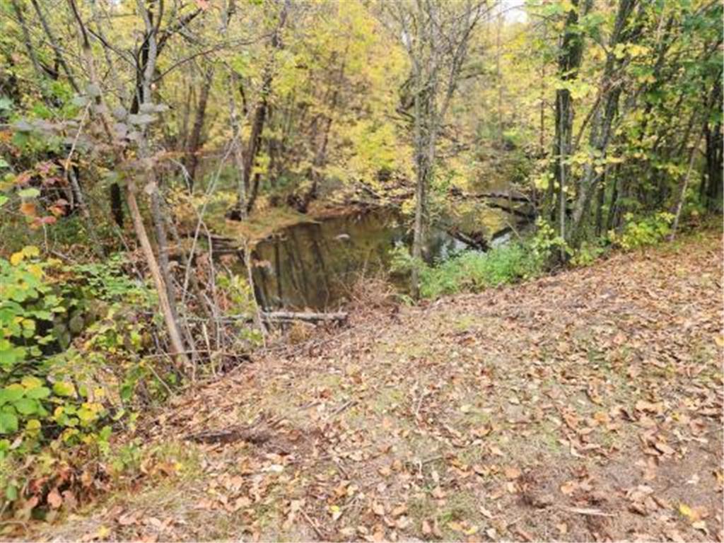 16964 280th Street Sebeka MN 56477 - Red Eye River 6816907 image18