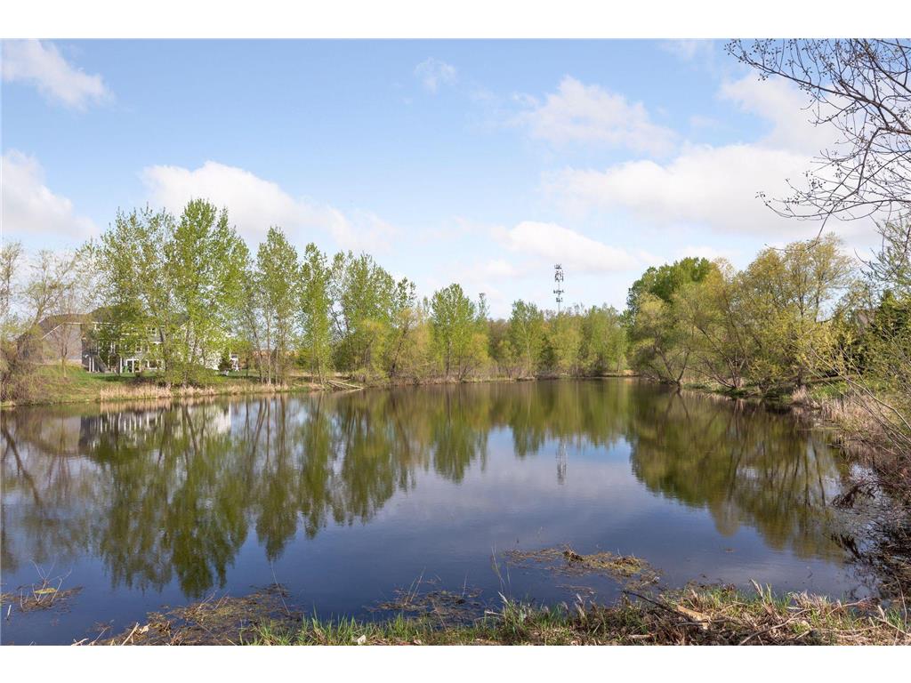 1697 120th Lane NE Blaine MN 55449 7044191 image89