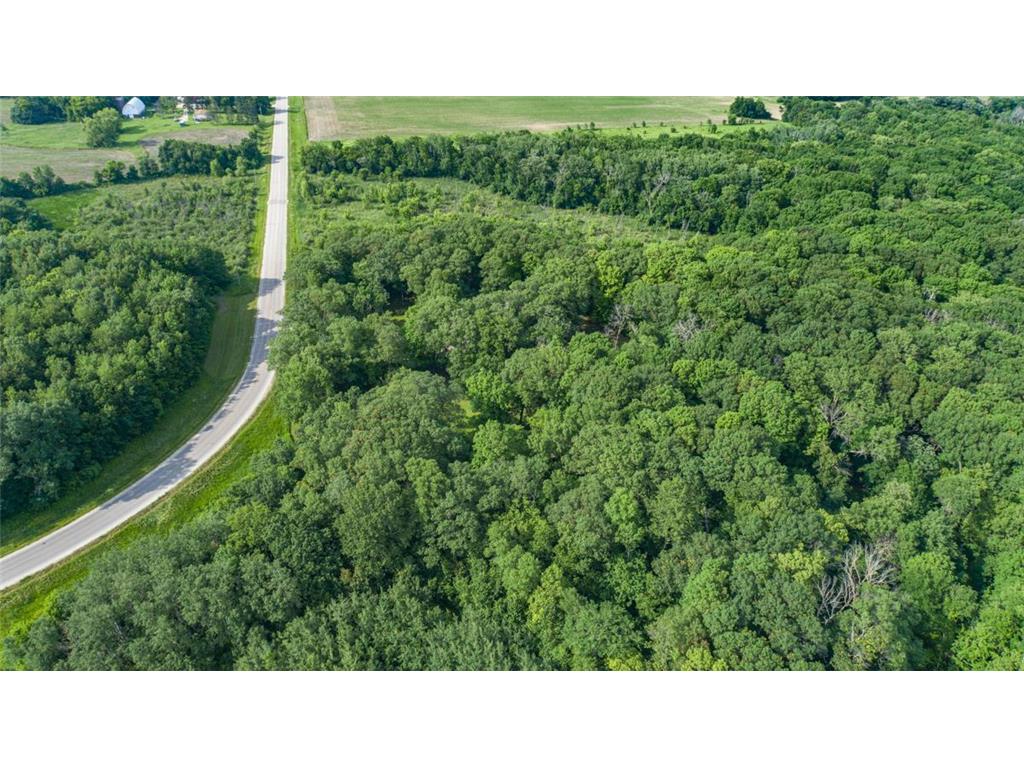 16975 Douglas Avenue Faribault MN 55021 7084197 image54