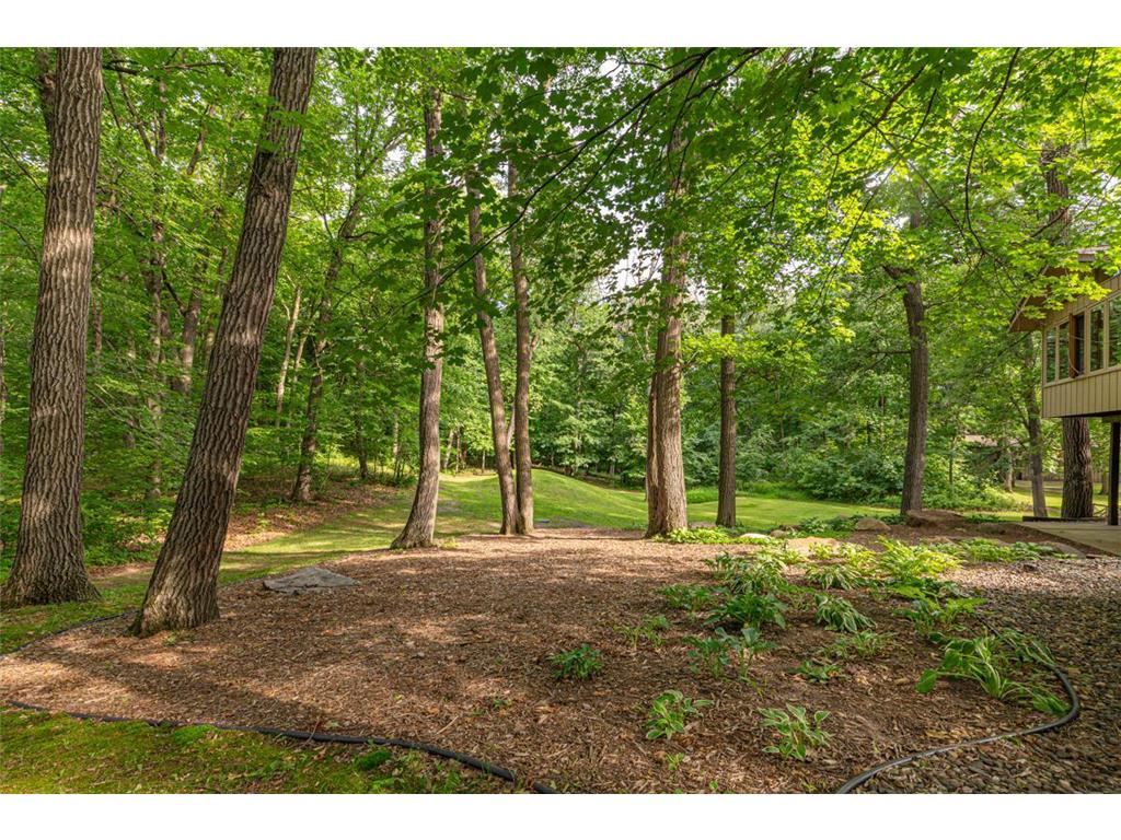 16975 Douglas Avenue Faribault MN 55021 7084197 image68