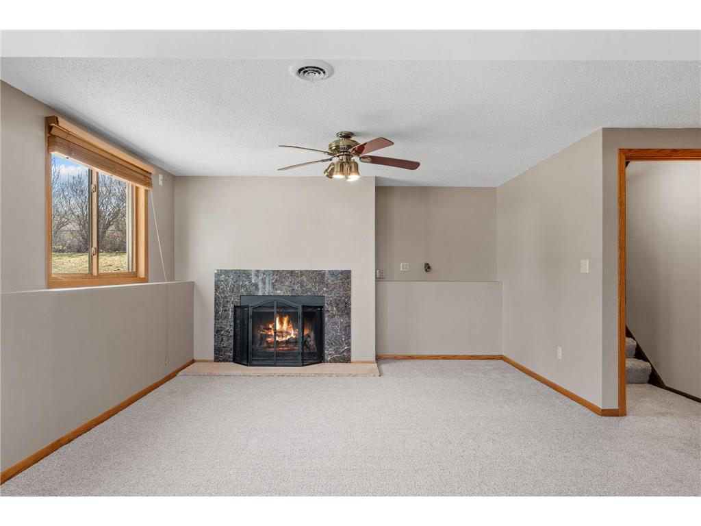 16988 Weaver Lake Drive Maple Grove MN 55311 7045718 image28
