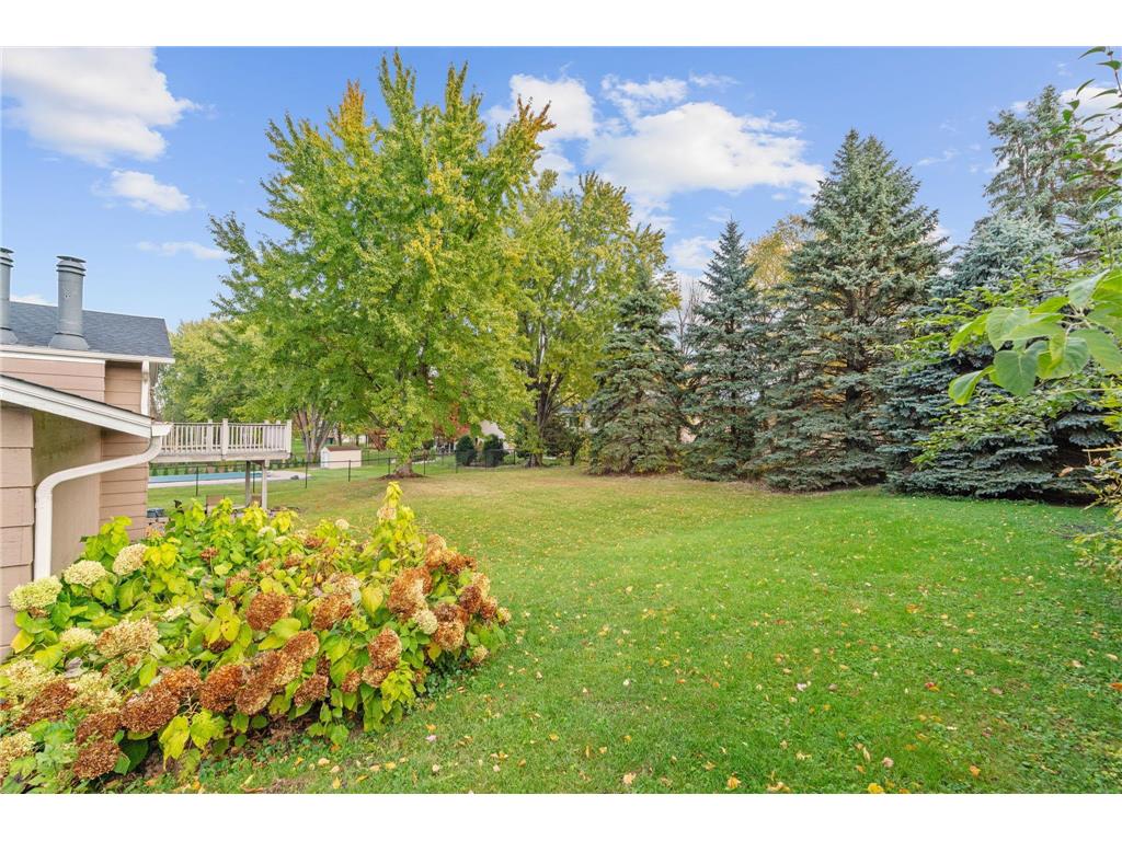 16988 Weaver Lake Drive Maple Grove MN 55311 7045718 image39