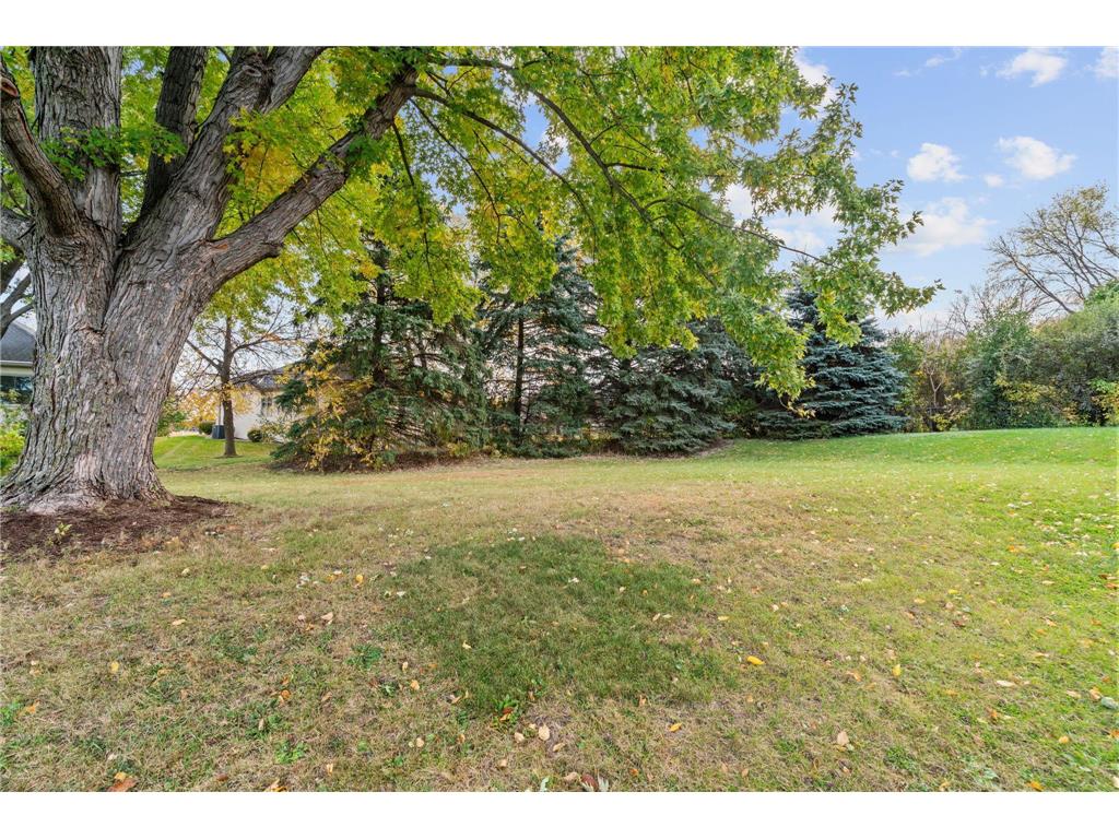 16988 Weaver Lake Drive Maple Grove MN 55311 7045718 image45