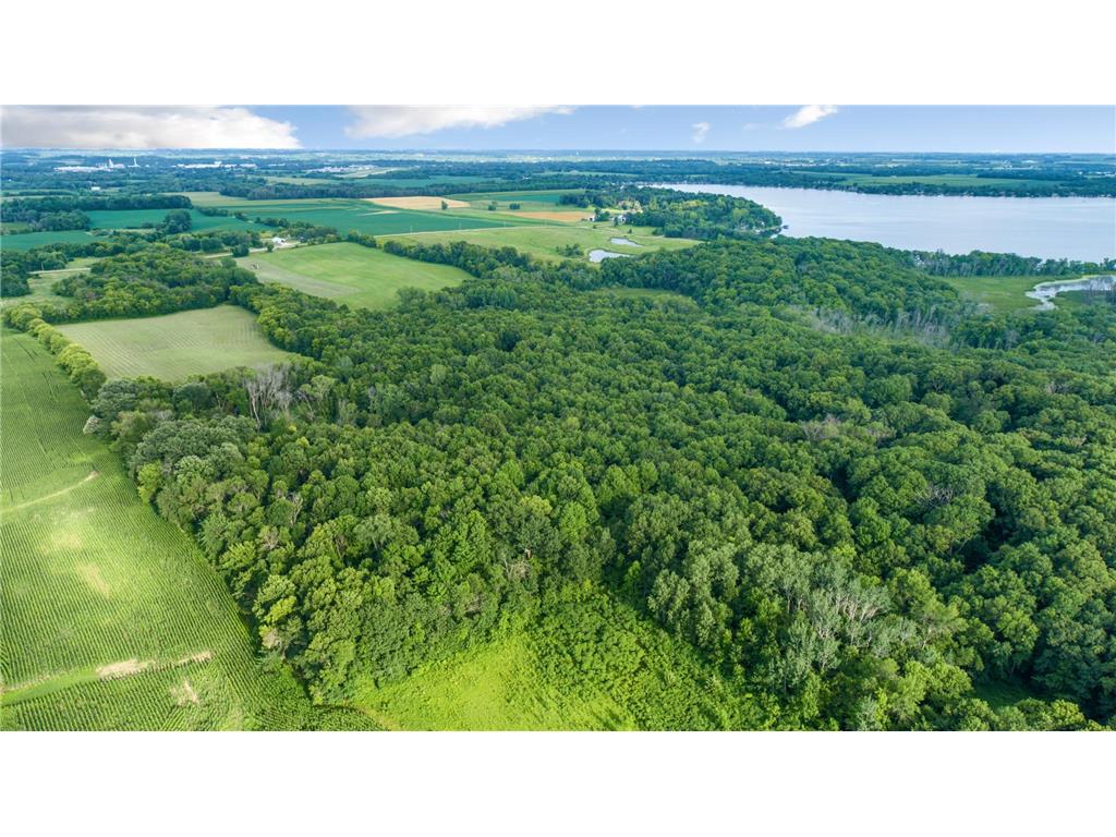 -XXX Roberds Lake Boulevard Faribault MN 55021 7114978 image10