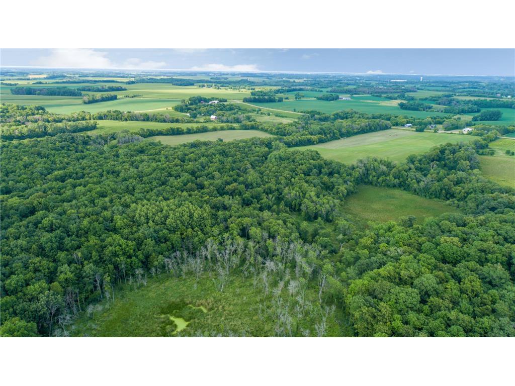 -XXX Roberds Lake Boulevard Faribault MN 55021 7114978 image8