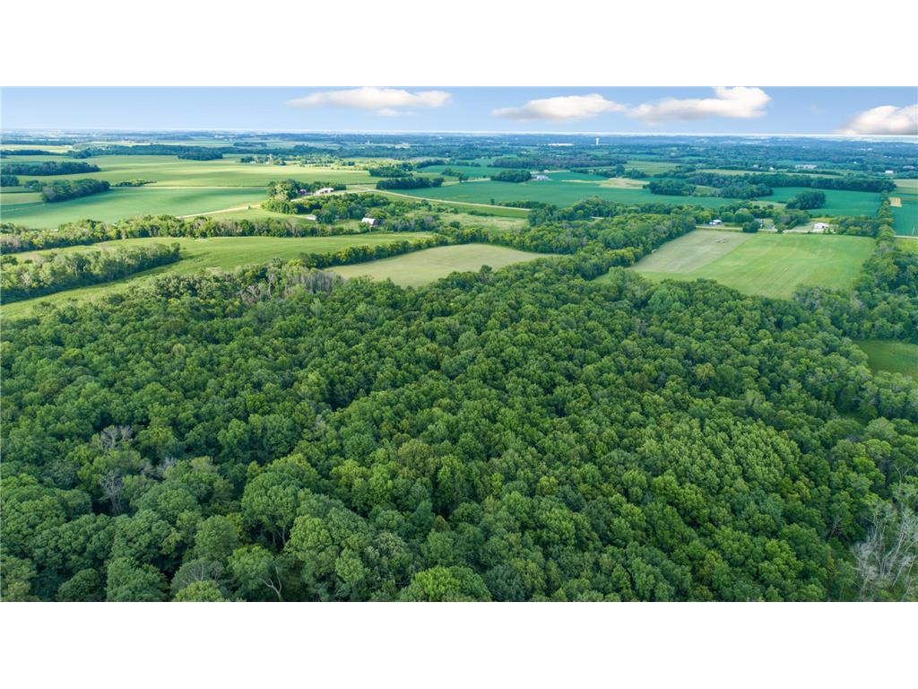 -XXX Roberds Lake Boulevard Faribault MN 55021 7114978 image9