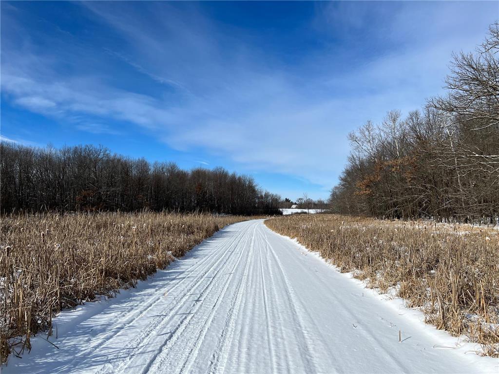 169xx Lake Boulevard, Shafer, MN, 55074 MLS 6472819 Edina Realty