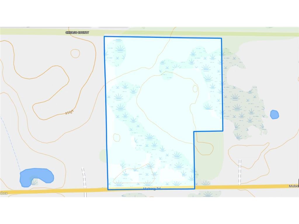 169xx Lake Boulevard, Shafer, MN, 55074 MLS 6472819 Edina Realty