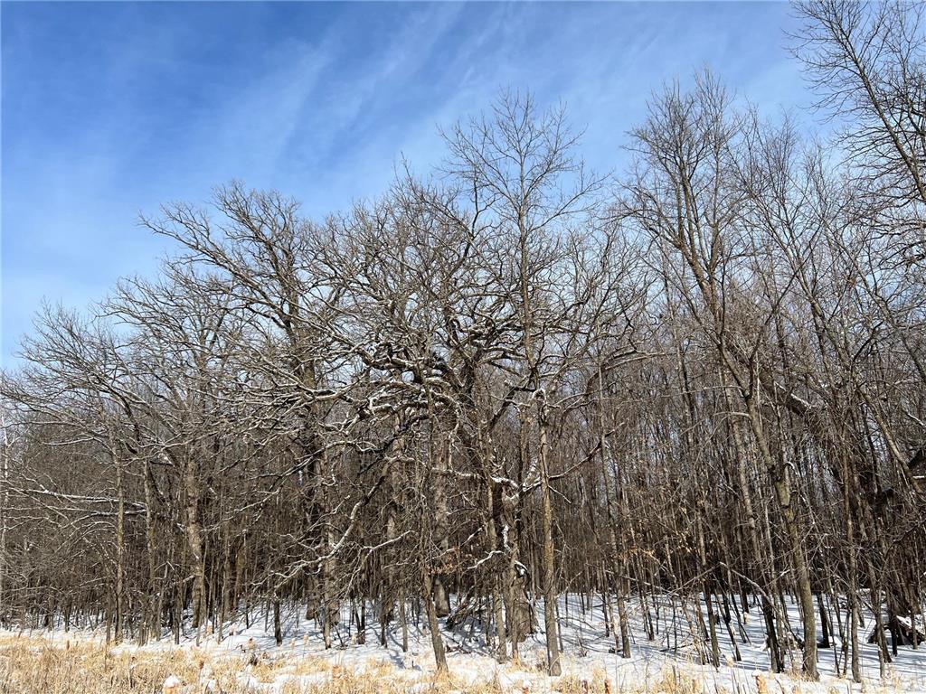 169xx Lake Boulevard, Shafer, MN, 55074 MLS 6472819 Edina Realty