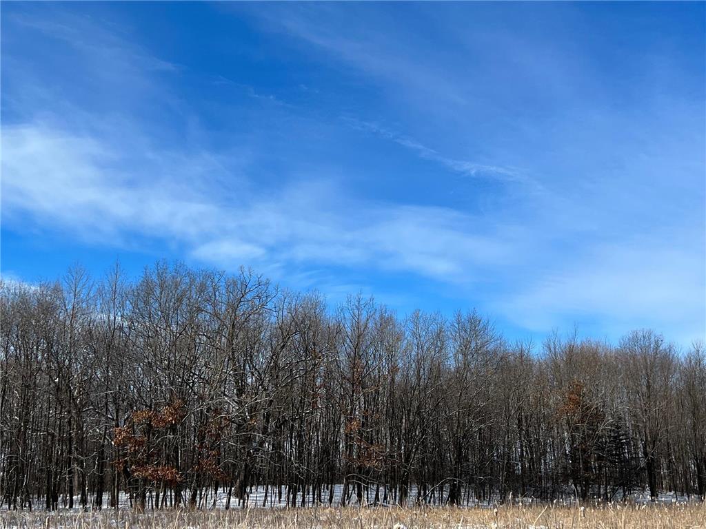 169xx Lake Boulevard Shafer MN 55074 7005848 image10