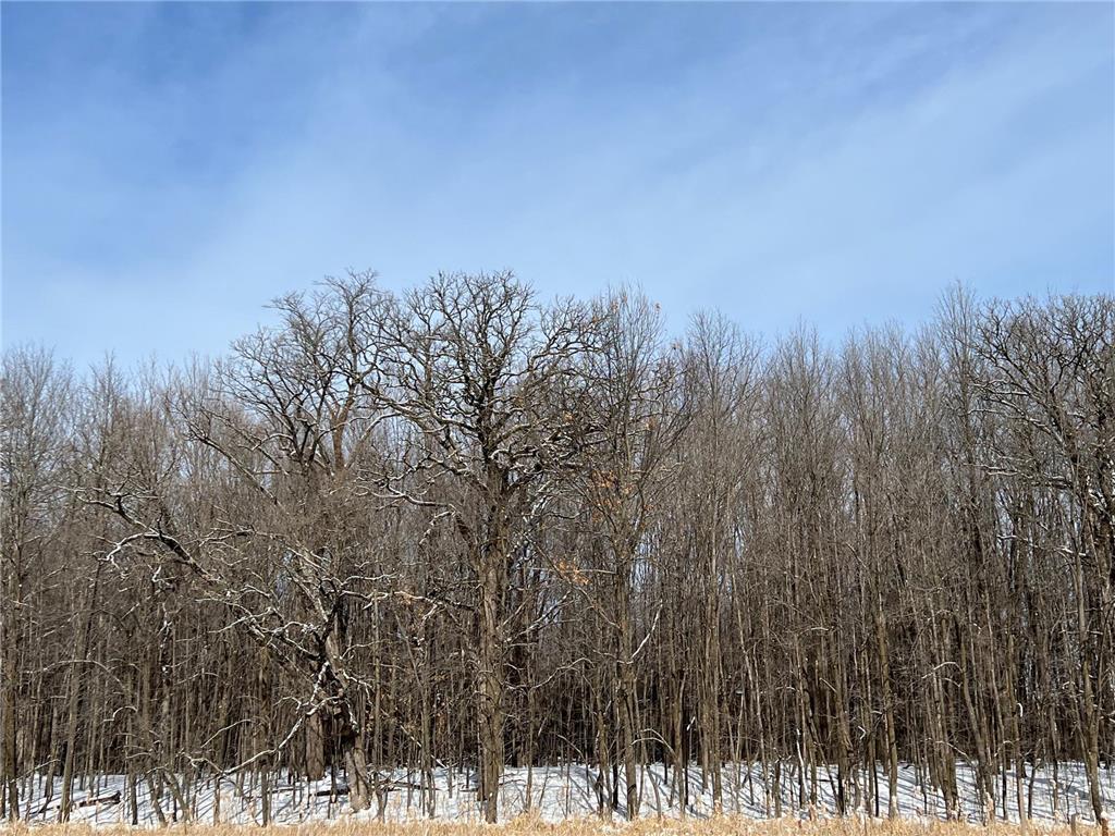 169xx Lake Boulevard Shafer MN 55074 7005848 image9