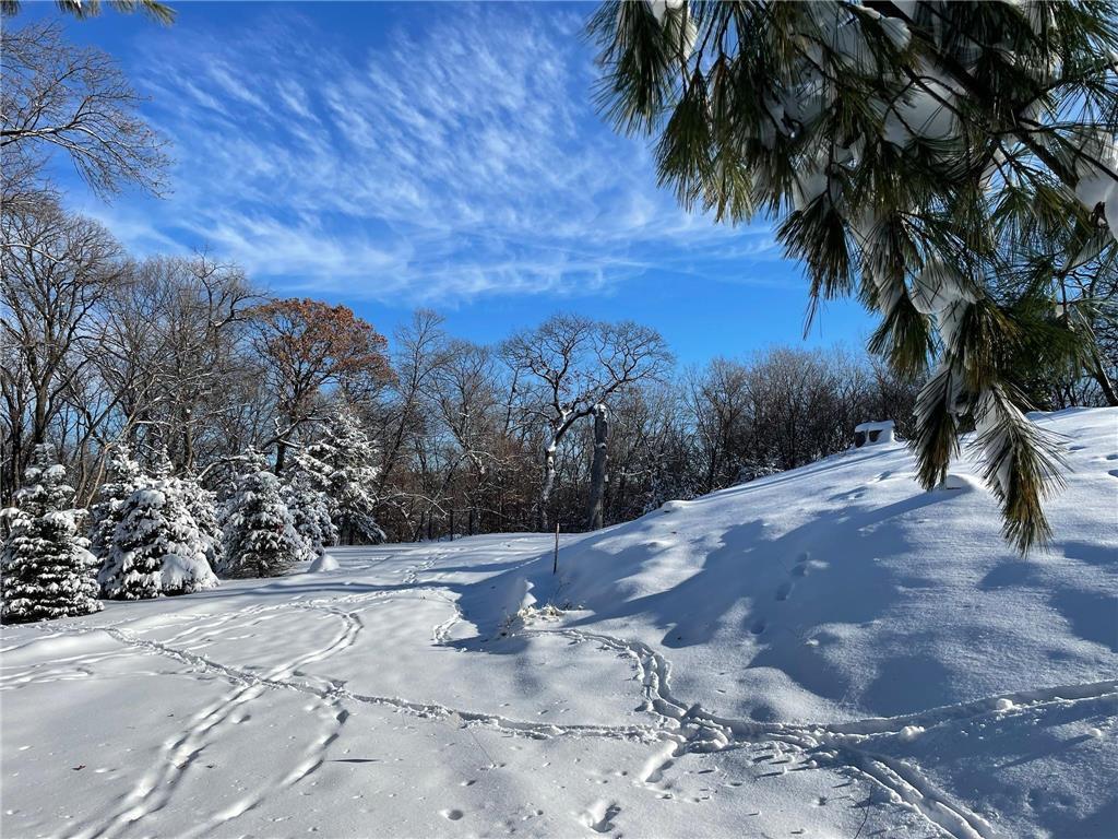 16XX Holdridge Terrace Wayzata MN 55391 6484531 image1