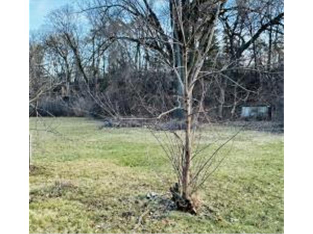 16XX Woodbury Road Newport MN 55055 7040248 image2