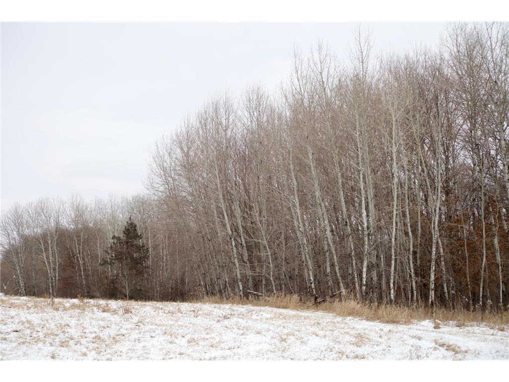 16XXX 4th Avenue E South Haven MN 55382 6535791 image1