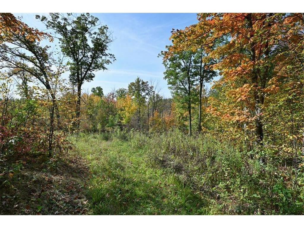 17.28 Block Drive Minong Twp WI 54859 6800847 image1