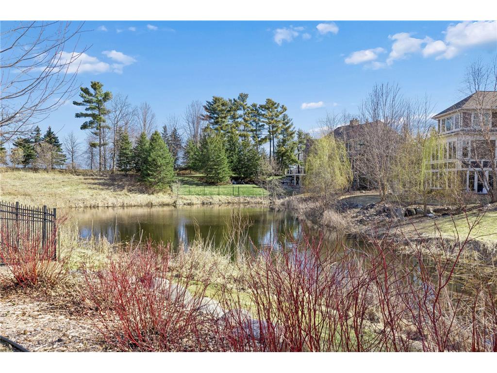 17 Crescent Lane North Oaks MN 55127 - Pleasant Lake 7028729 image46