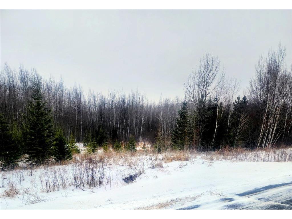 17 E County Road Mizpah MN 56660 6826228 image10