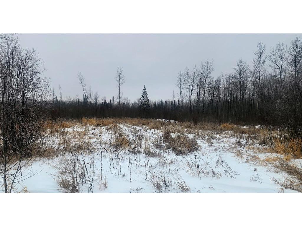17 E County Road Mizpah MN 56660 6826228 image11