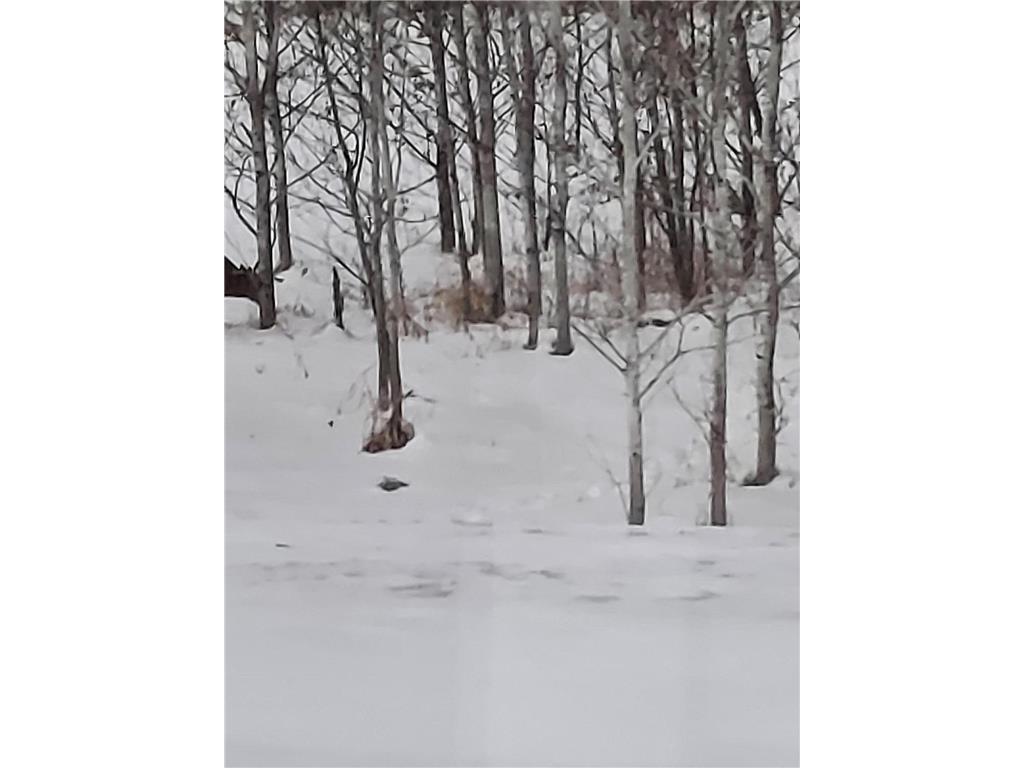 17 E County Road Mizpah MN 56660 6826228 image12
